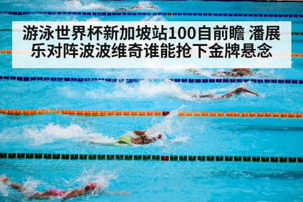 游泳世界杯新加坡站100自前瞻 潘展乐对阵波波维奇谁能抢下金牌悬念 | Kaiyun Sports