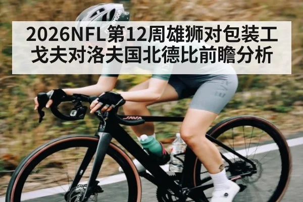 2026NFL第12周雄狮对包装工 戈夫对洛夫国北德比前瞻分析 - Kaiyun Sports